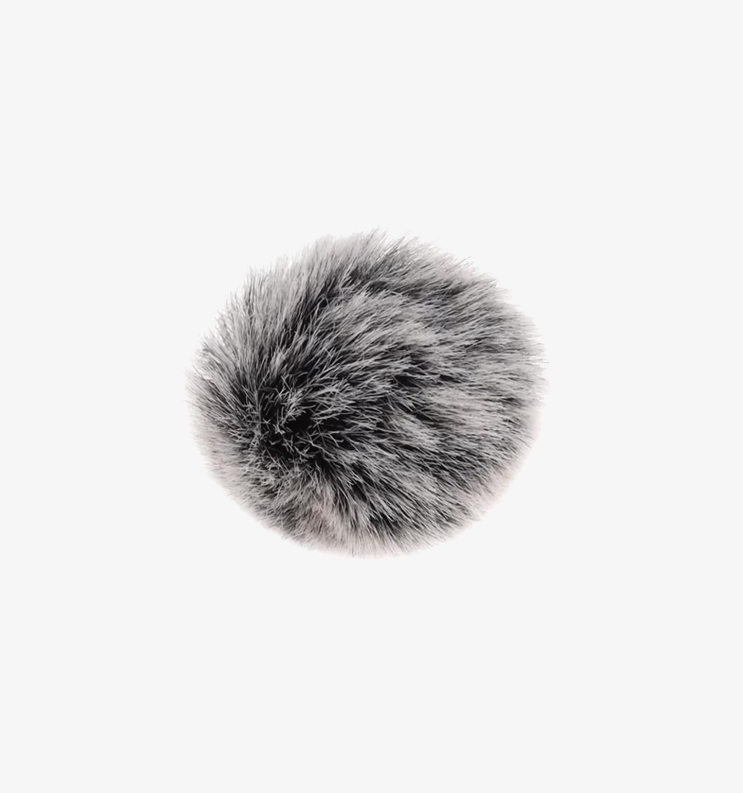 Pare-vent pour microphone