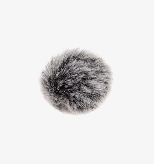 Pare-vent pour microphone